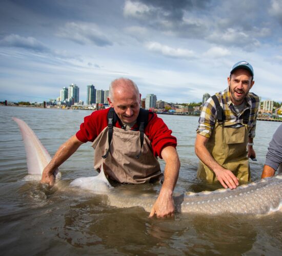 Thrill of Musky Fishing